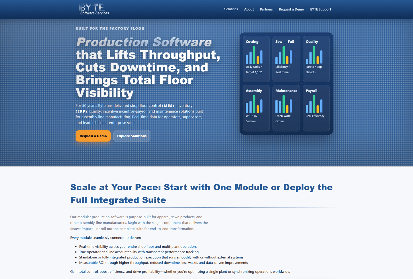 BYTE Software Services website desktop view designed by MooseWeb